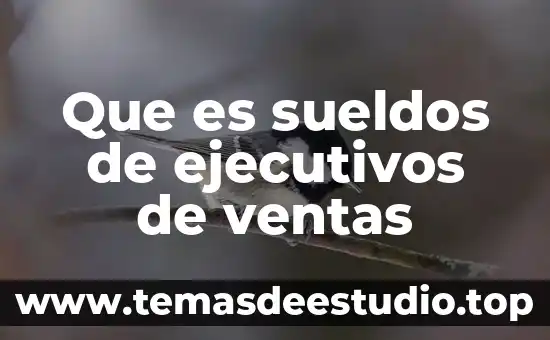 Que es un fiduciario financiero en ventas de casas 3 Que es sueldos de ejecutivos de ventas