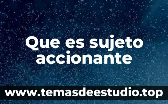 Que es sujeto concepto 5 Que es sujeto accionante