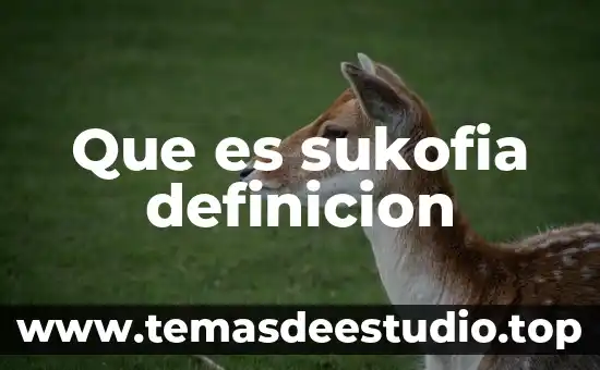 Que es sukofia definicion