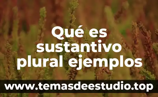Que es una sociedad plural ejemplo 3 Qué es sustantivo plural ejemplos