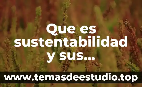 Por que es importante la sustentabilidad en la arquitectura 6 Que es sustentabilidad y sus elementos