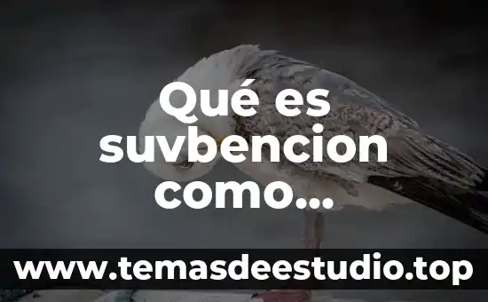 Qué es el materialismo histórico y quién lo desarrolla 5 Qué es suvbencion como funcionan