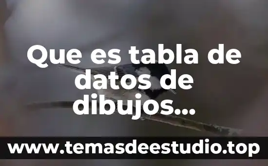 Que es un diploma y sus datos 5 Que es tabla de datos de dibujos tecnicos