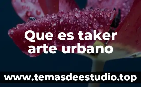 Que es taker arte urbano