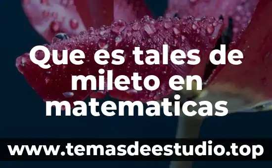 Que es el arte para tales de mileto la filosofia 5 Que es tales de mileto en matematicas