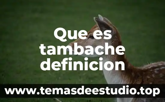 Que es tambache definicion