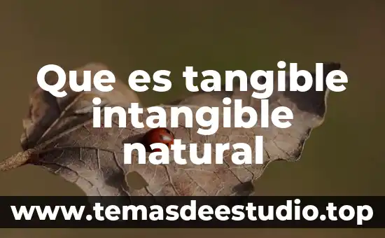 Que es un elemento intangible 4 Que es tangible intangible natural