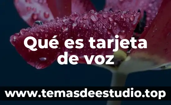 Que es el nombre de una tarjeta 3 Qué es tarjeta de voz