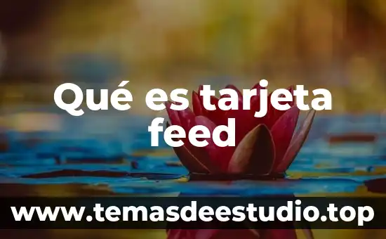 Qué es la tarjeta bansefi 4 Qué es tarjeta feed