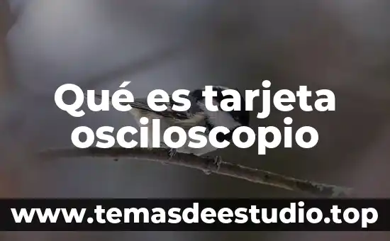 Que es el zocalo en la tarjeta madre 7 Qué es tarjeta osciloscopio