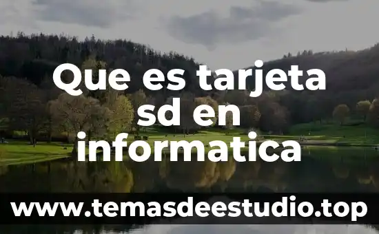 Qué es la tarjeta bansefi 6 Que es tarjeta sd en informatica