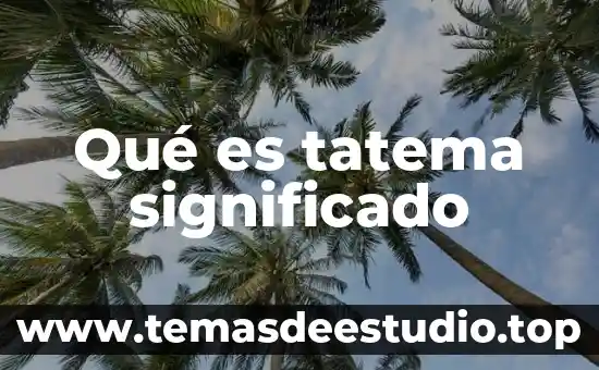 Que es entenado significado 5 Qué es tatema significado