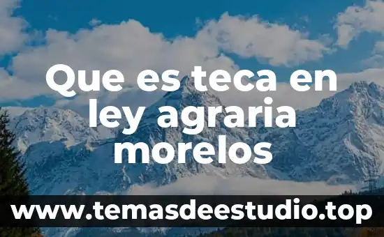 Qué es la ley general de sociedad mercantil 4 Que es teca en ley agraria morelos
