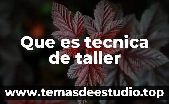 Que es un taller de procesamiento de alimentos 6 Que es tecnica de taller