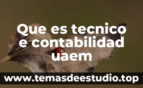 Que es un tecnico de pruebas 6 Que es tecnico e contabilidad uaem