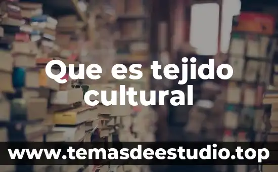 Que es el patrimonio cultural de las artes visuales 7 Que es tejido cultural