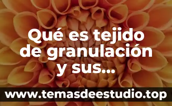 Que es libertad y sus caracteristicas 3 Qué es tejido de granulación y sus características