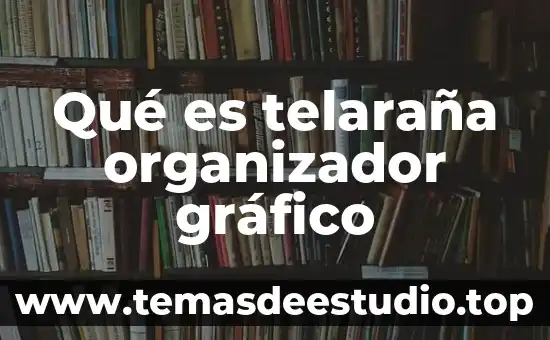 Que es el organizador grafico telaraña 7 Qué es telaraña organizador gráfico
