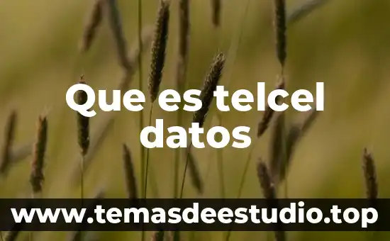 Módulo de distribuidores Telcel que es el número de agente 8 Que es telcel datos