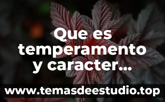 Qué es el carácter polisémico de la historia 8 Que es temperamento y caracter ejemplos