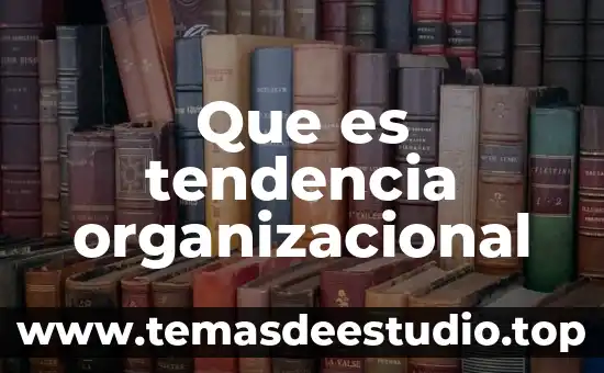Que es una cultra organizacional 6 Que es tendencia organizacional