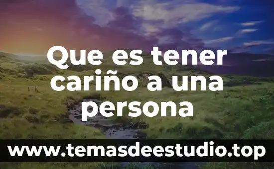 Por que es importante para una escuela tener página web 8 Que es tener cariño a una persona