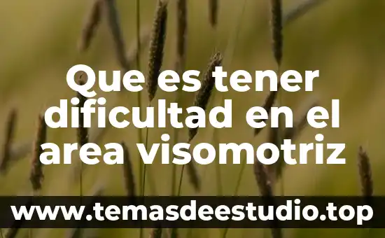 Que es una sociedad de fin ilicito 3 Que es tener dificultad en el area visomotriz