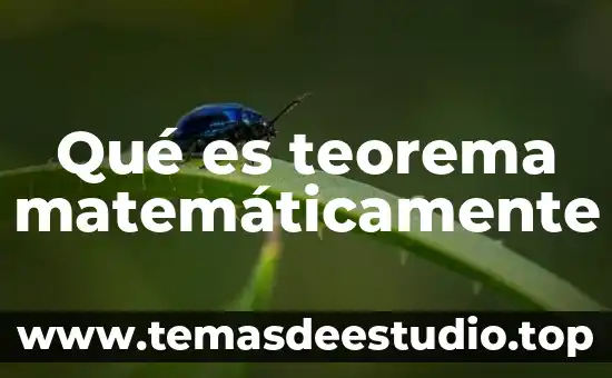 Qué es baricentro ortocentro matemáticamente 7 Qué es teorema matemáticamente