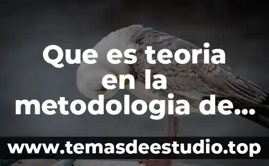 Ensayo sobre qué es la teoría de la mente 3 Que es teoria en la metodologia de la investigación