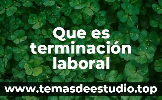 Que es el ambiente laboral definicion 3 Que es terminación laboral