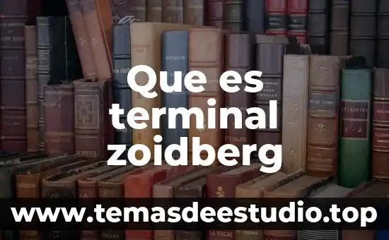 Qué es un símbolo terminal y no terminal 8 Que es terminal zoidberg
