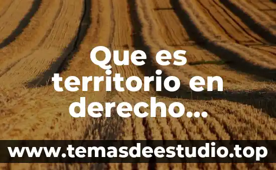 Que es derecho constitucional particular 8 Que es territorio en derecho constitucional
