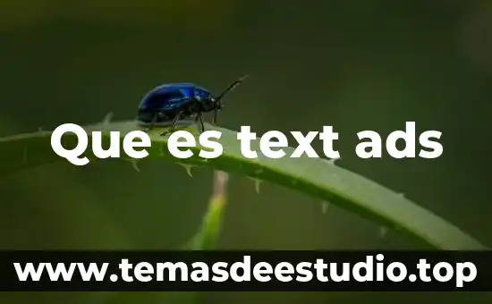 Que es text ads