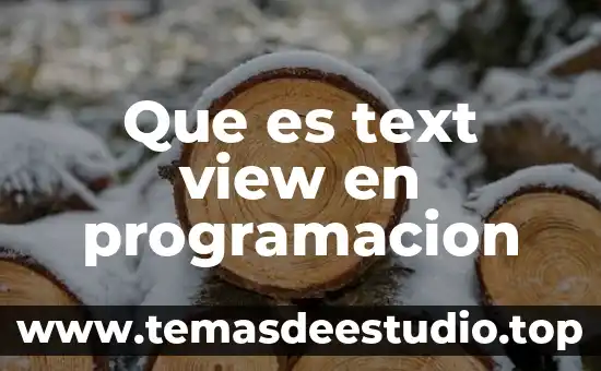 Aermod view que es 7 Que es text view en programacion