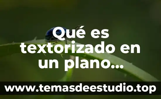 Que es planta en un plano arquitectonico 6 Qué es textorizado en un plano arquitectónico