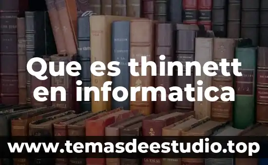 Que es la banda ancha en informatica 3 Que es thinnett en informatica