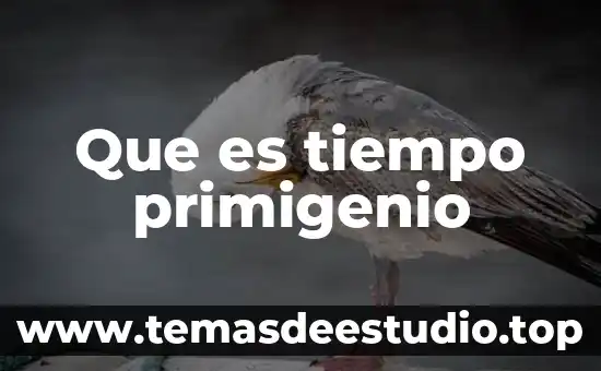 Que es un tiempo flotante y regular en tiempos compartidos 3 Que es tiempo primigenio