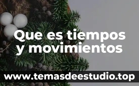 Que es tiempos y movimientos