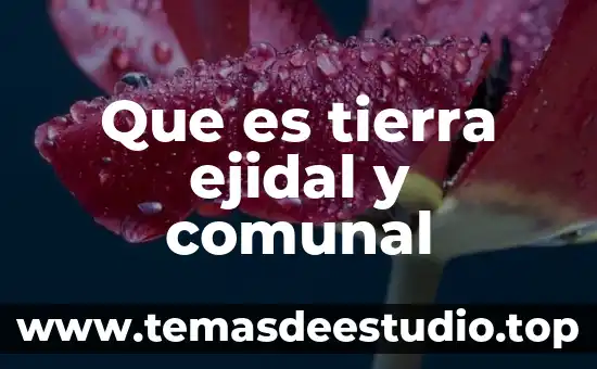 Que es tierra ejidal y comunal