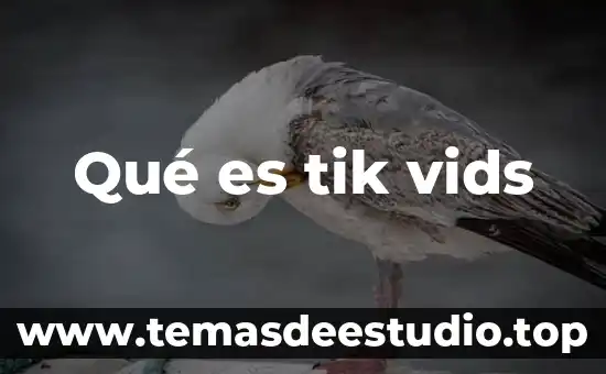 Qué es realidad social 4 Qué es tik vids