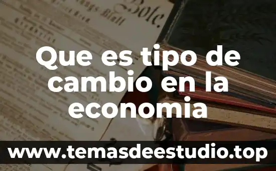 Que es la historia rincon del vago 7 Que es tipo de cambio en la economia