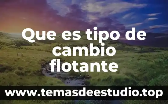 Que es cambio de layout planta techno 5 Que es tipo de cambio flotante