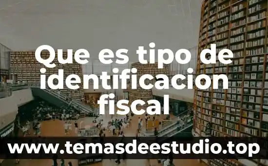 Que es una figura fiscal 7 Que es tipo de identificacion fiscal