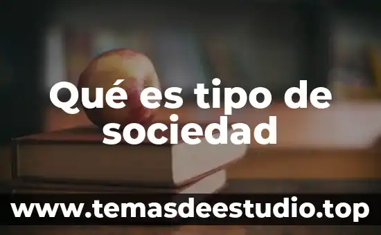 Qué es tipo de sociedad