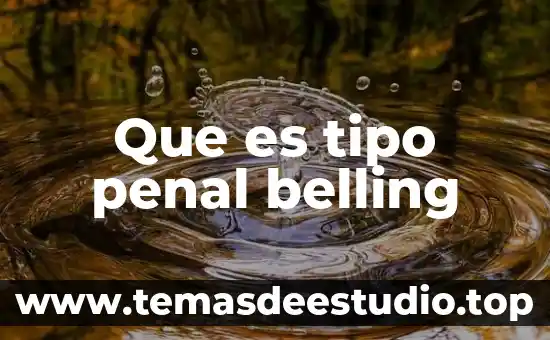 Que es tipo penal belling