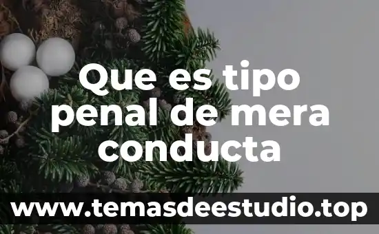 Que es marcha tipo ganges 6 Que es tipo penal de mera conducta