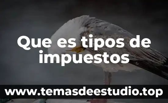 Que es un pronostico y sus tipos 6 Que es tipos de impuestos