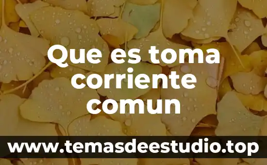 Que es toma corriente comun