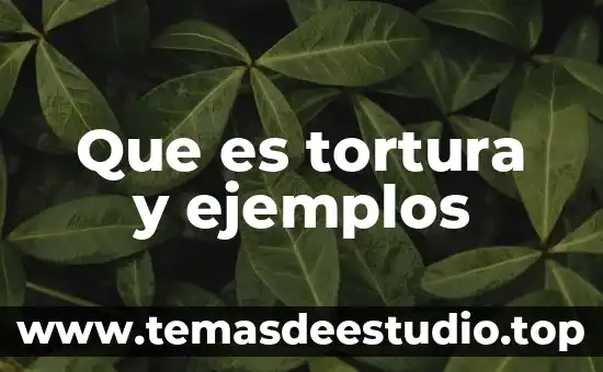 Que es la similitud identidad y homología geneticas ejemplos 5 Que es tortura y ejemplos