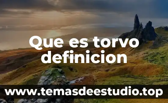 Que es torvo definicion